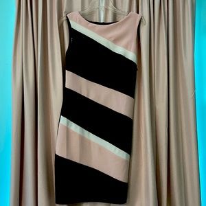 A beautiful, professional, black, pink, and white dress. Zips up in the back.